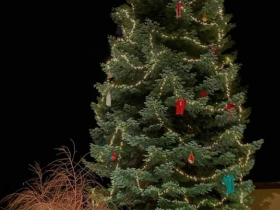 WeihnachtsbaumMarkersbachFarbnuanceAlgenmaxHubsteigerHebebuehneWeihnachten-1-400×300