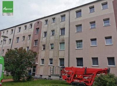 Algenmax® Fassadenreinigung in Sachsen, Thüringen und im Nordwesten der Tschechei - Besuch vom Ordnungs- und Umweltamt