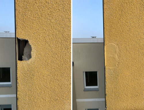 Spechtlöcher in der Fassade