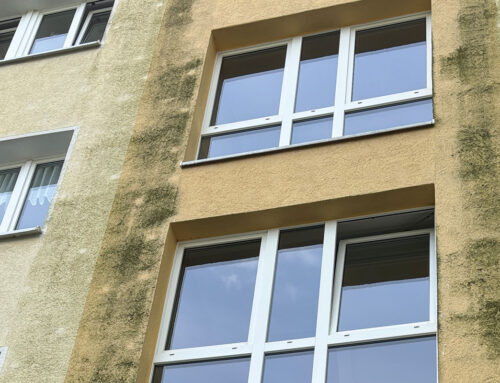 Algen an der Fassade – Ursachen, Folgen und professionelle Lösungen