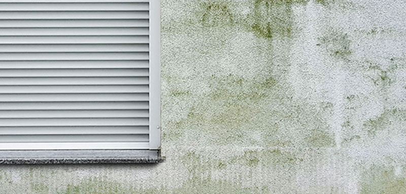 algen-fassade-vorher