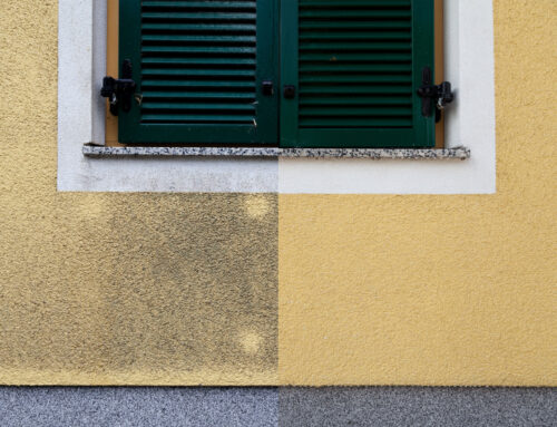 Moos und Schimmel an der Hauswand – Hausfassade reinigen richtig angehen