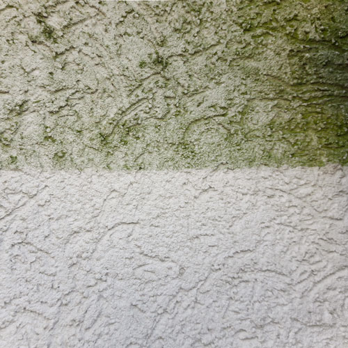 Putzfassade reinigen // Algenmax