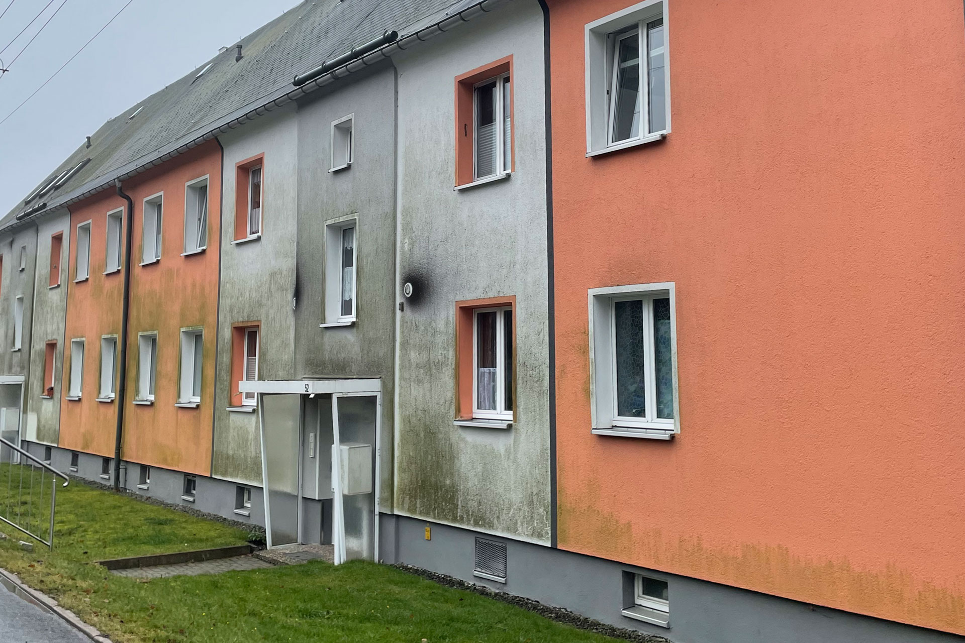 Grünbelag auf Putz oder Klinker – wie Sie ihn sicher entfernen