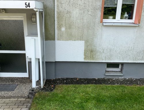 Reinigung oder Neuanstrich? Wann sich eine Fassadenreinigung wirklich lohnt
