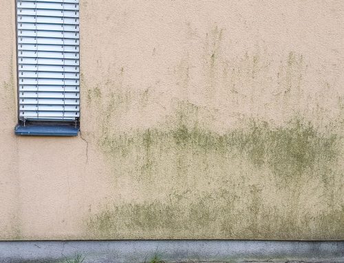 Wie lange hält eine Fassadenreinigung?